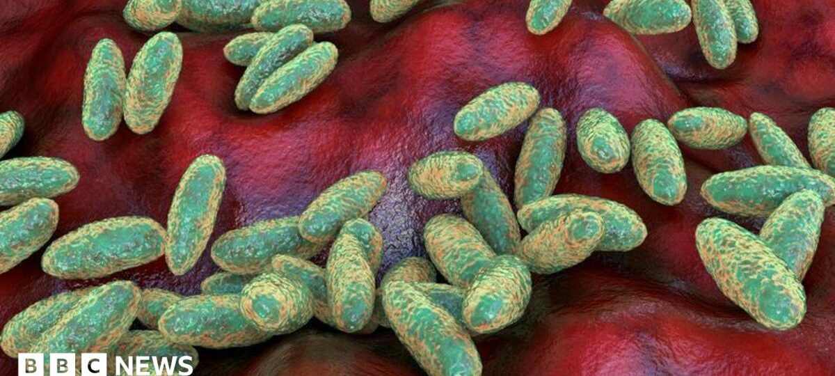 What is pneumonic plague and how does it spread?