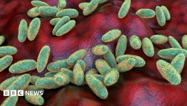 What is pneumonic plague and how does it spread?