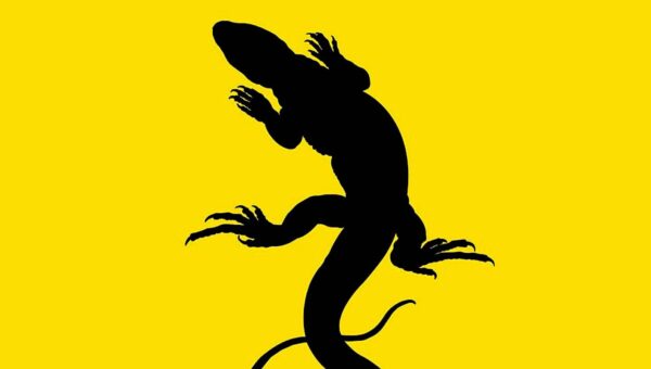 The 8 Most Fun YA Books of All Time, Ranked