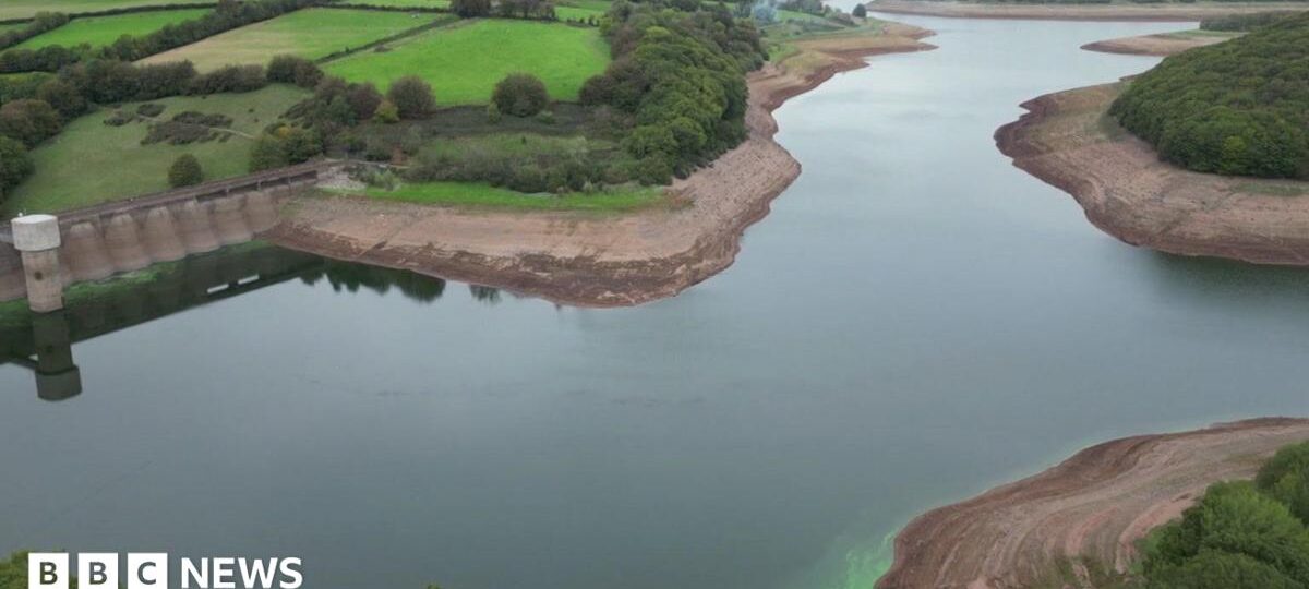 Severe drought declared in parts of southern England