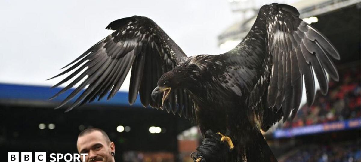 Crystal Palace urged to retire bald eagle mascot