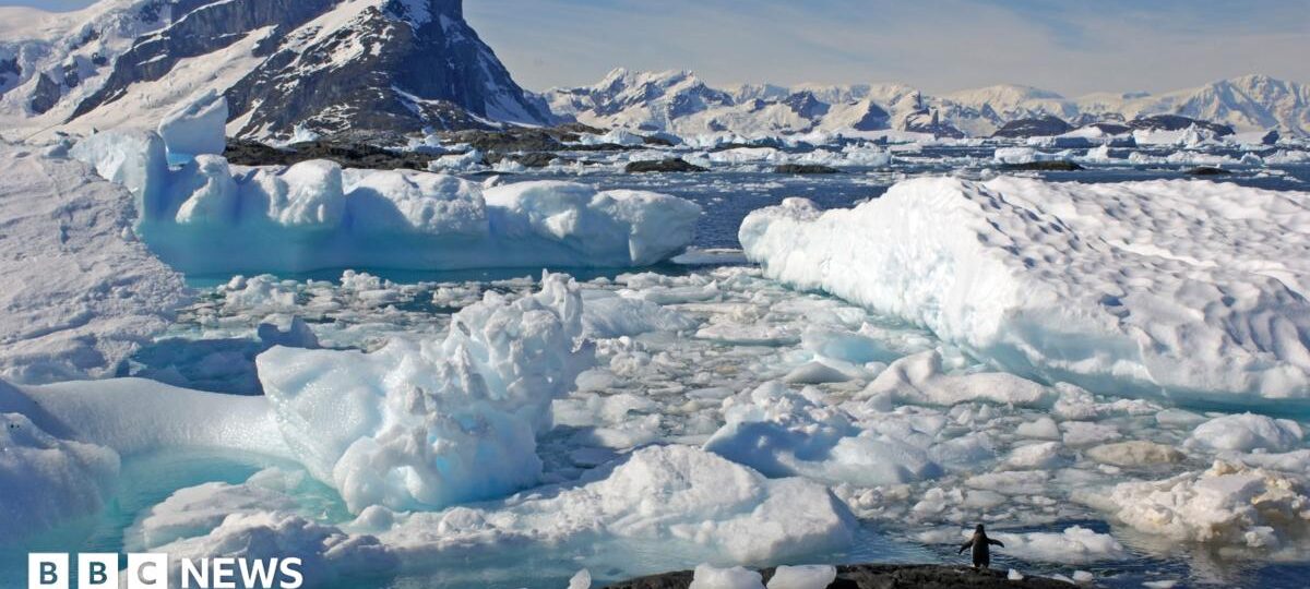 Part of Antarctica named after former BBC science correspondent