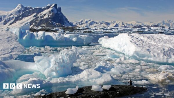 Part of Antarctica named after former BBC science correspondent