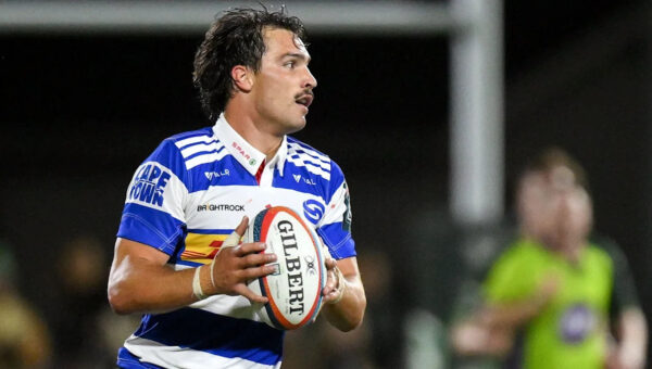 Bristol beaten by Stormers in Champions Cup opener