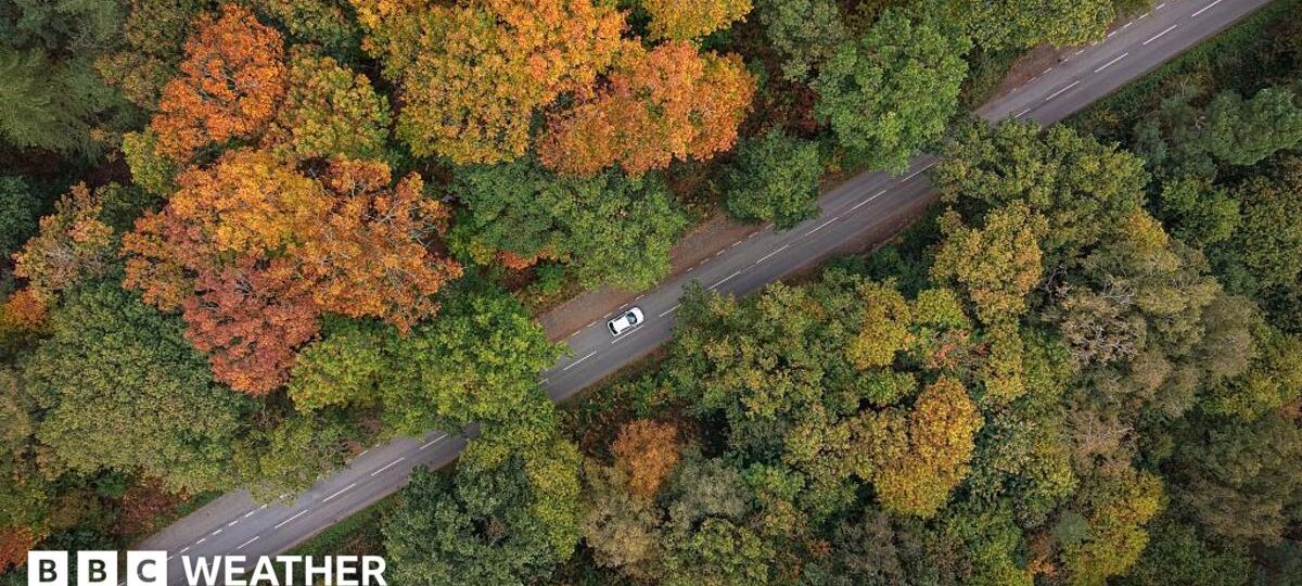 Where to spot brilliant colours after 'false autumn' spoils some leaf displays