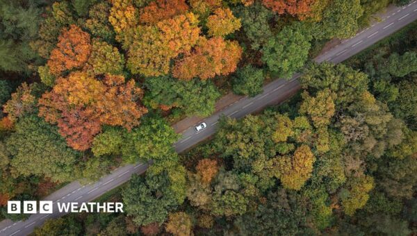 Where to spot brilliant colours after ‘false autumn’ spoils some leaf displays