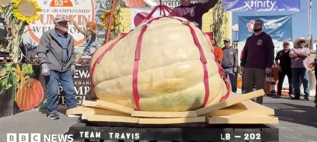 Watch: US man eyes pumpkin world record after fifth contest win