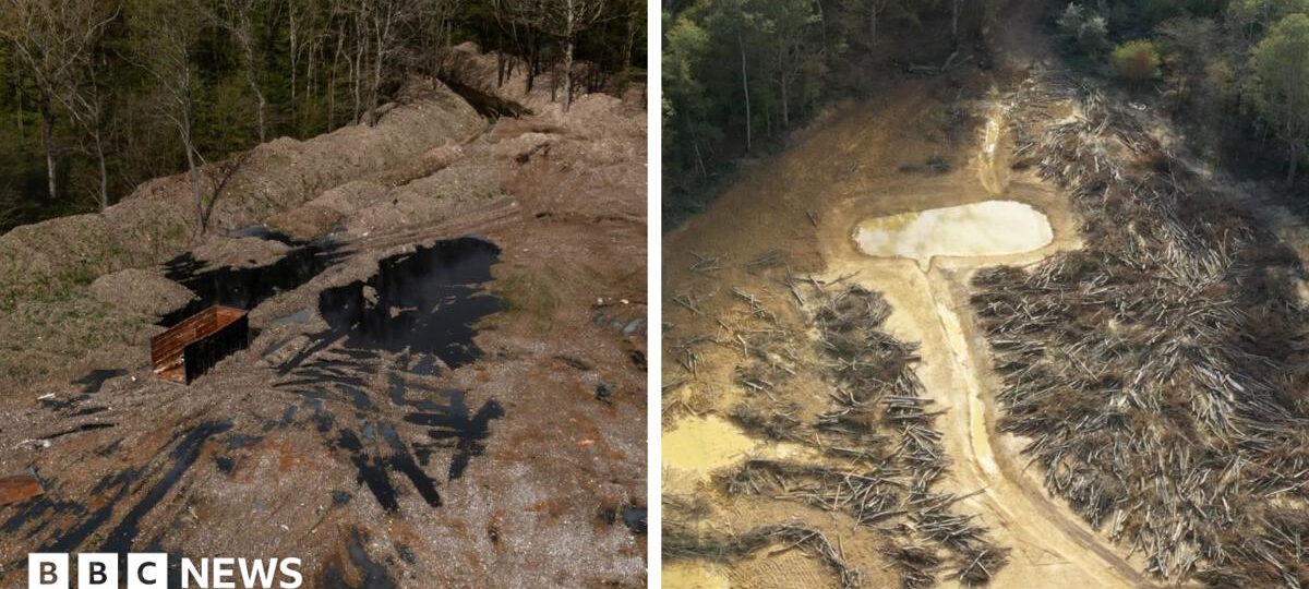 £15m spent cleaning illegal waste supersite in ancient woodland