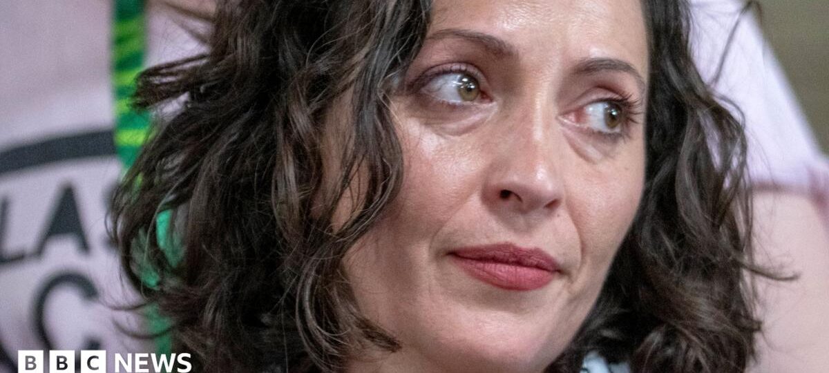 Greens investigate party member behind Zionism motion