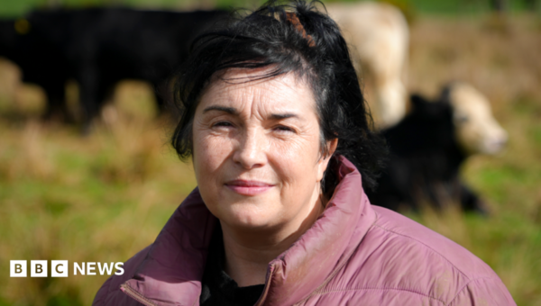 ‘Dad dragged me out of bed by my hair to work’ – rural abuse victims want more support