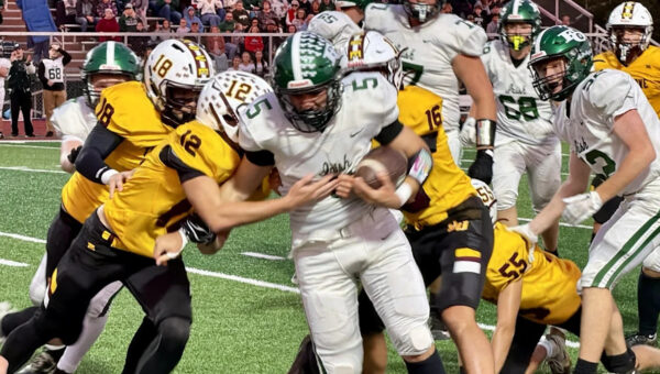 Berne Union finds new offensive spark in Hocking