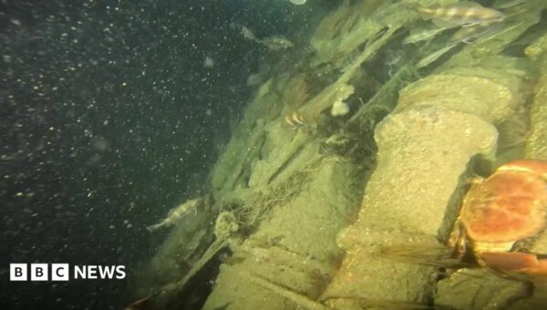 Missing German WW2 U-boat found 82 years on
