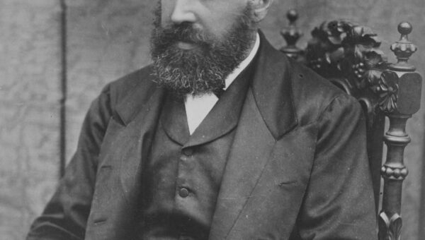 Amazon releases its own Jev clone as decision models flood the web