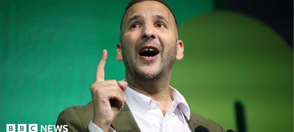 Greens can move Labour in the right direction, says Polanski
