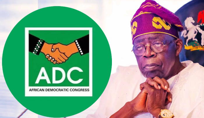 Learn leadership from Macron amid killings, hardship – ADC to Tinubu