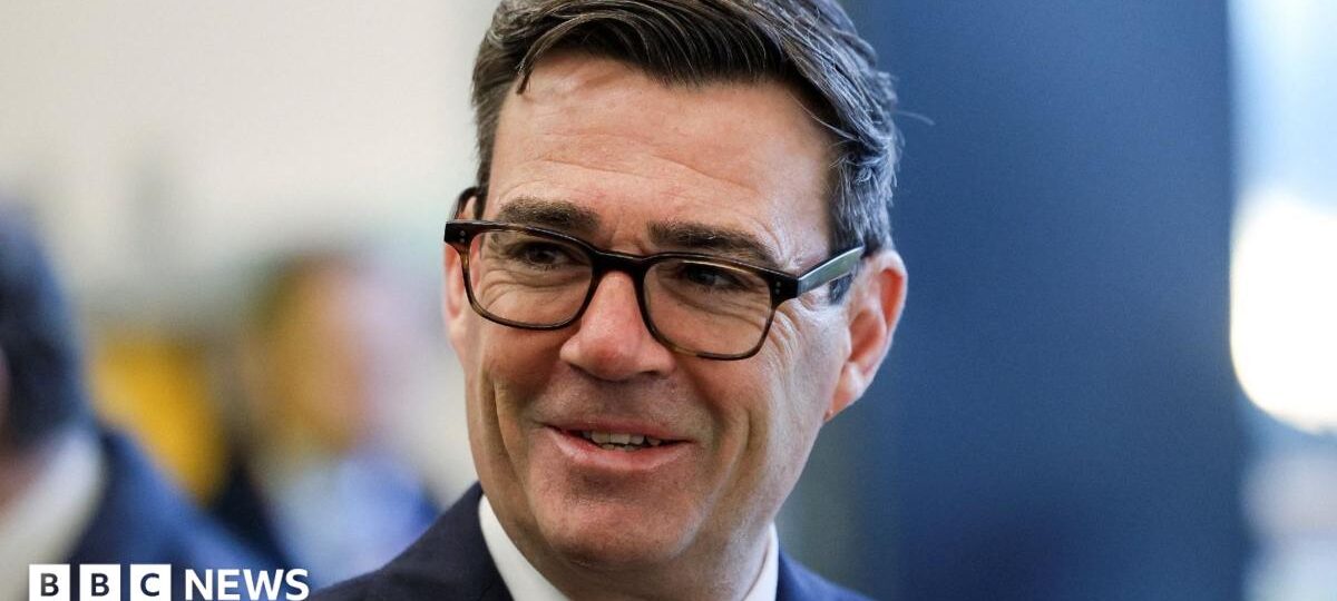 Burnham leaves door open to referendum on EU free movement