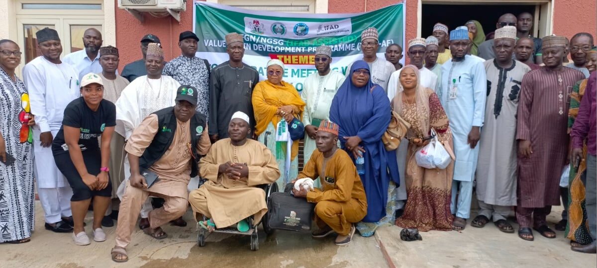 Climate Change: Niger urges farmers to adapt as rainfall pattern shifts