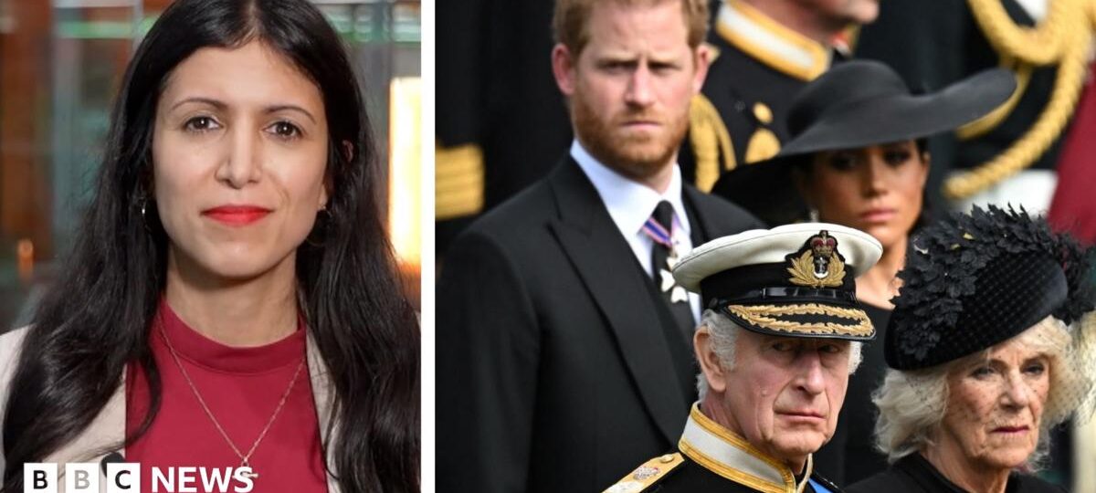 Watch: Why does Prince Harry want to ‘work it out’ with his father and brother?
