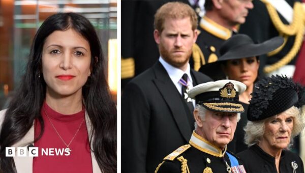 Watch: Why does Prince Harry want to ‘work it out’ with his father and brother?