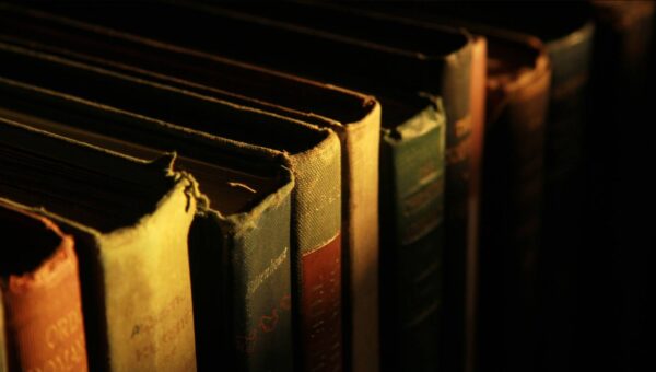 10 Best Mystery & Thriller Books For True Crime Fans