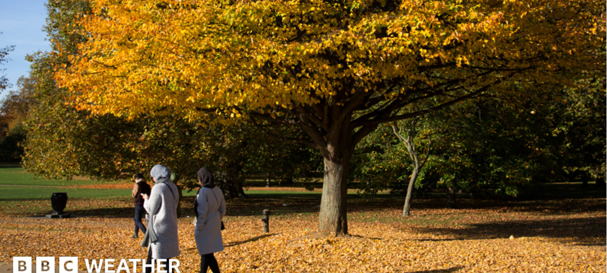 Autumn chill to arrive this week as temperatures set to drop