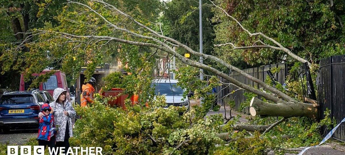 Storm Austen to bring severe gales to UK as weather warning issued