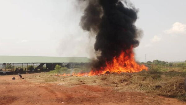 NAFDAC destroys N8bn fake, banned products in North-Central