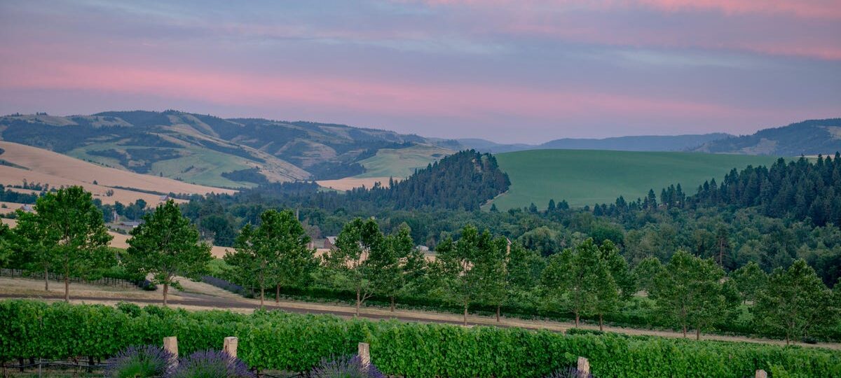 I thought Napa was the gold standard for wine trips. Then, a city in Washington changed what I look for in a vacation.