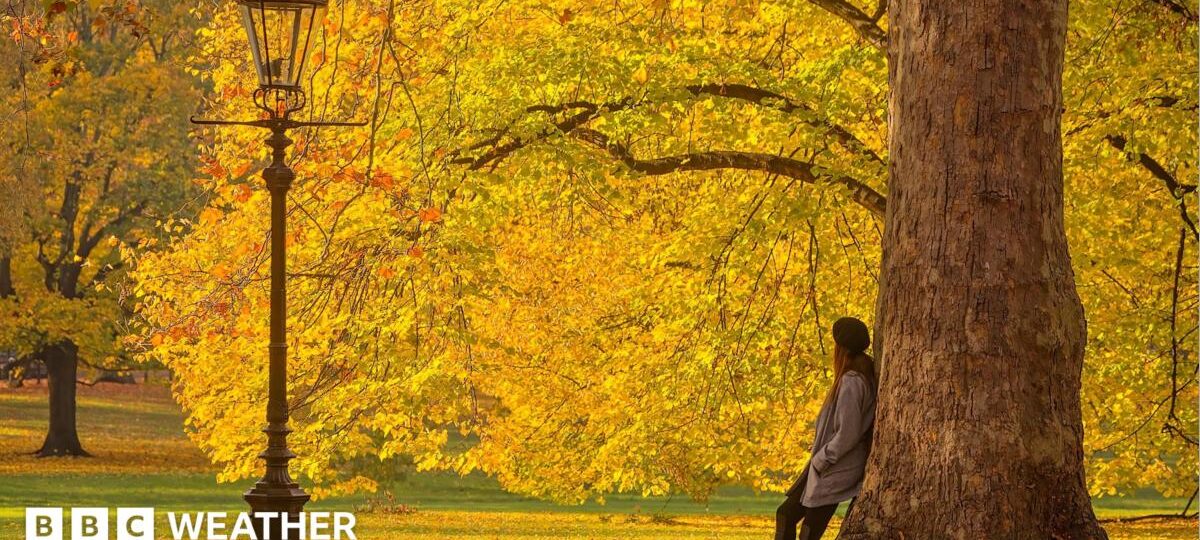 Ex-hurricane to bring warm weather to the UK this week