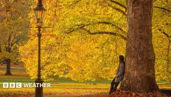 Ex-hurricane to bring warm weather to the UK this week