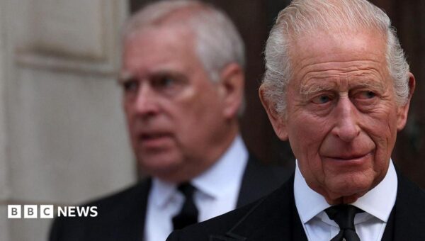King’s funding for Andrew not to be used for legal action against police