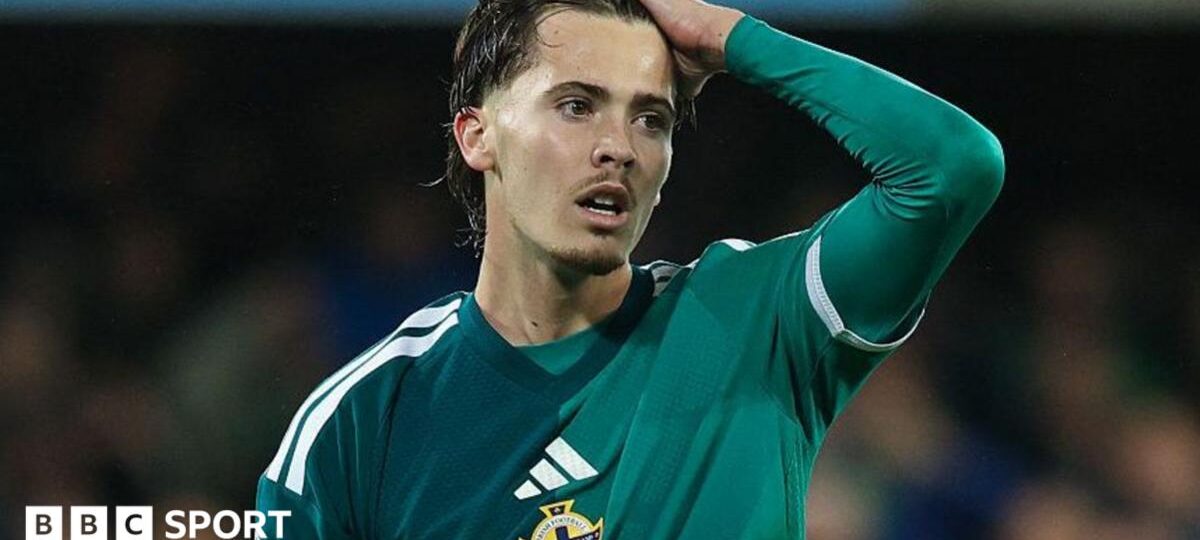 Northern Ireland make huge strides despite Georgia frustration