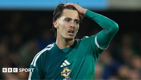 Northern Ireland make huge strides despite Georgia frustration