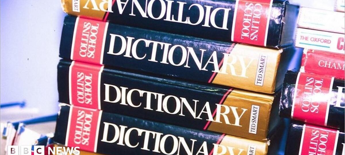'Maxxing' selected as Dictionary.com word of the year