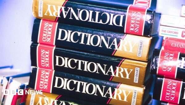 ‘Maxxing’ selected as Dictionary.com word of the year