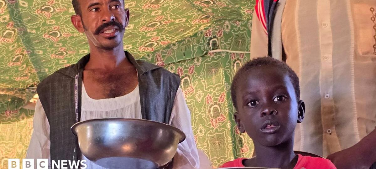 West warns of famine risk in Sudan as civil war grinds on