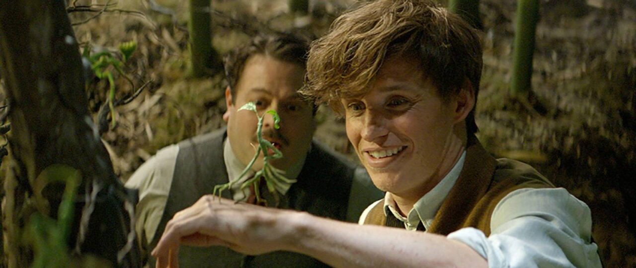New Harry Potter Book Officially Confirmed for 2027 Release