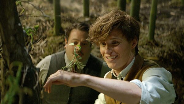 New Harry Potter Book Officially Confirmed for 2027 Release
