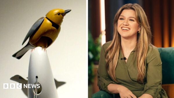 What’s going on between Kelly Clarkson and a Brooklyn store bird?