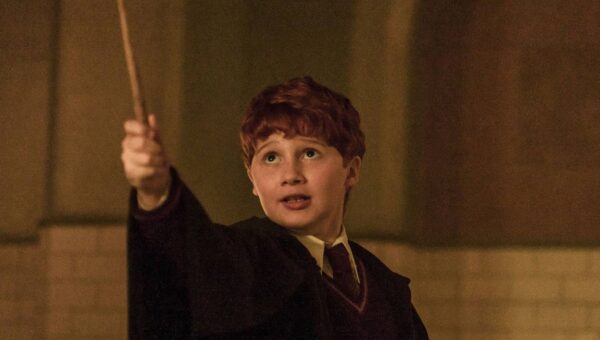 Harry Potter Officially Proves That It Can’t Be Replaced By HBO’s TV Show