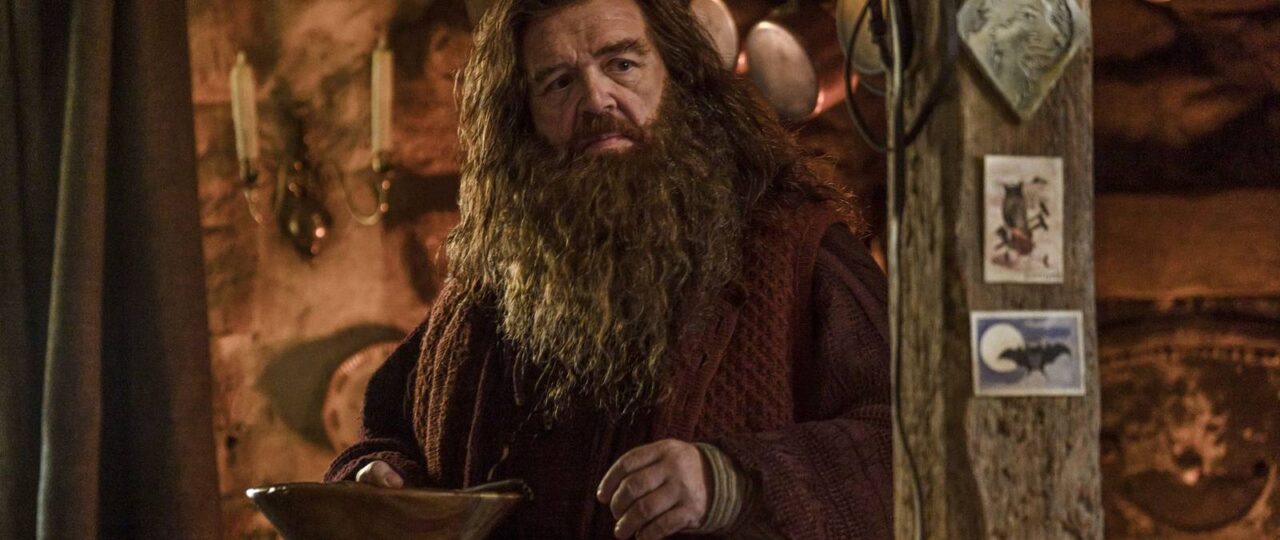 HBO's Harry Potter Only Has One Chance To Win Back Its Doubters