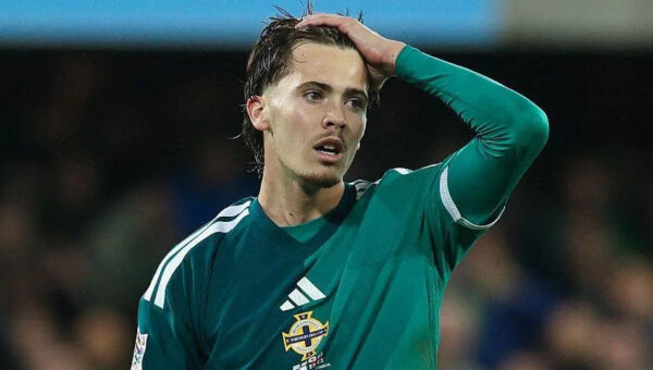 NI make huge strides despite Georgia frustration