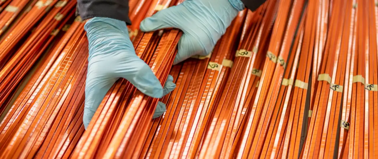 Giraffe Bio aims its bespoke biomolecules at the looming copper shortage