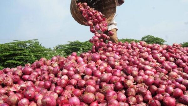 Onion price jumps 900% to N300,000 in 6 months
