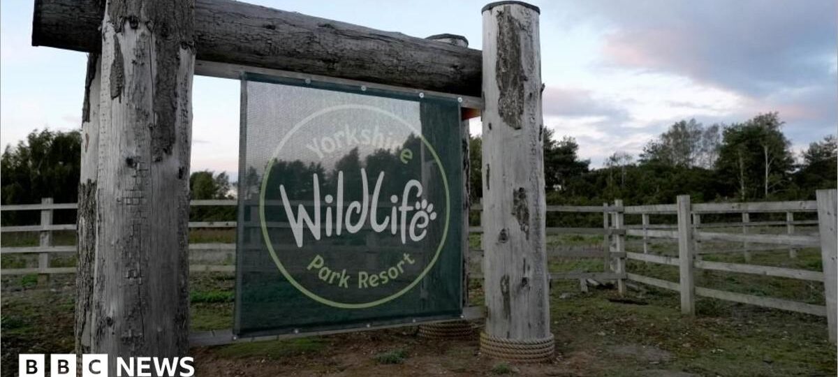 Wildlife park reopens after man killed by tiger