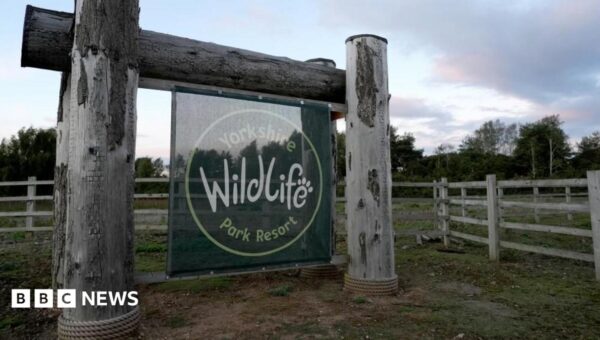 Wildlife park reopens after man killed by tiger