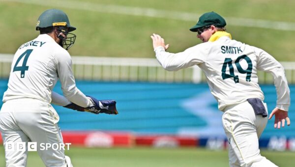 Sensational Smith, relentless quicks – Australia veterans serve reminder