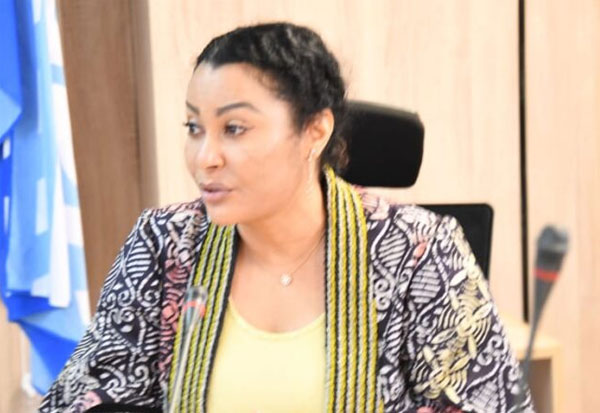 2027 budget to be ready before end of December – FG