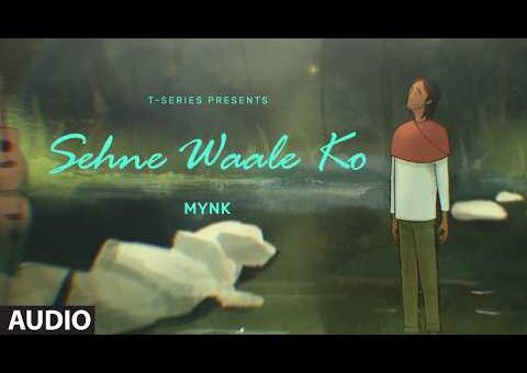 SEHNE WAALE KO (Full Audio) – MYNK – T-SERIES